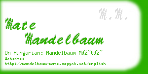 mate mandelbaum business card